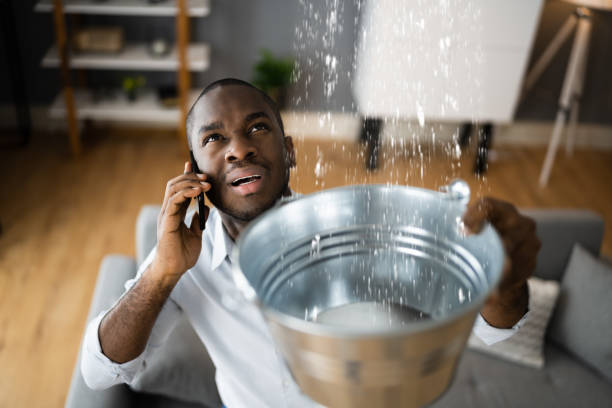 Best Ceiling water damage repair  in Caledonia, WI