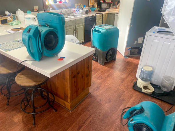 Best Sewage cleanup and water damage restoration  in Caledonia, WI