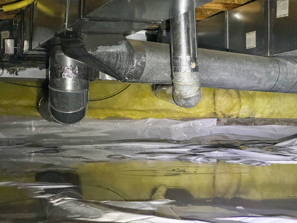 Best Water damage contractors near me  in Caledonia, WI