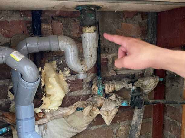 Best Residential water damage restoration  in Caledonia, WI